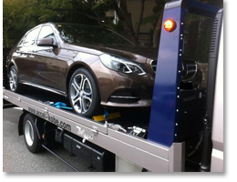 レスキュー（運搬）